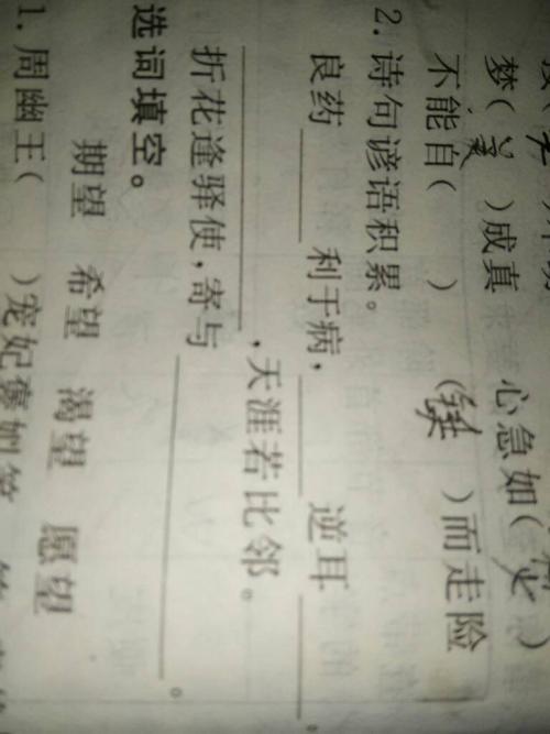 积累谚语