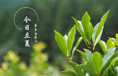 丽霞健康祝福