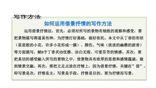 丁香的寓言