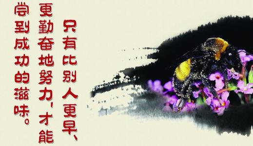 努力工作的名言