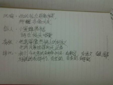 写燕子的隐喻