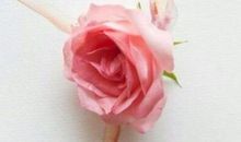 描写女人如花的句子