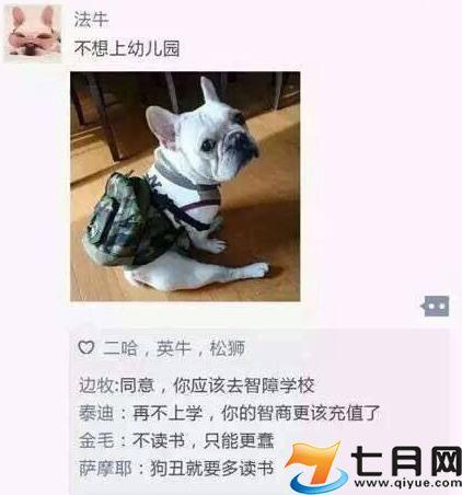 谈减肥朋友圈
