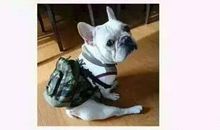 减肥朋友圈说说