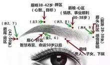 眉毛像什么比喻句