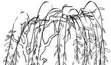 关于柳条的比喻句