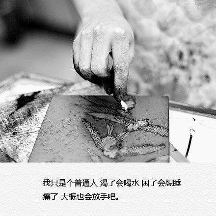 南风过境经典语录