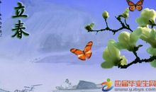 常用节气谚语大全