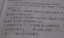 写读书的比喻句