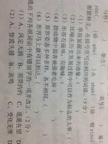 津津乐道