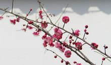 梅花开了比喻句