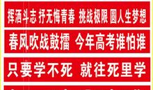 高三霸气励志标语