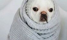 2018年最新版说说