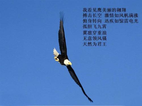 在2018年激励自己