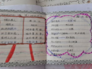 好的单词和句子