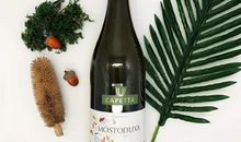 冬天吃葡萄歇后语