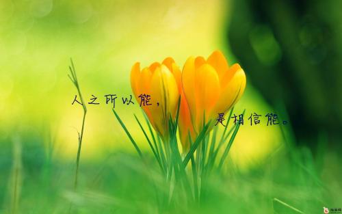 早上的祝福