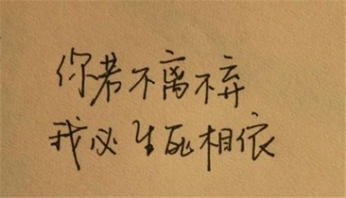 谈论烟的悲伤