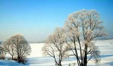 描写冬天短的句子