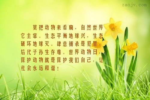 描述女性声音的句子