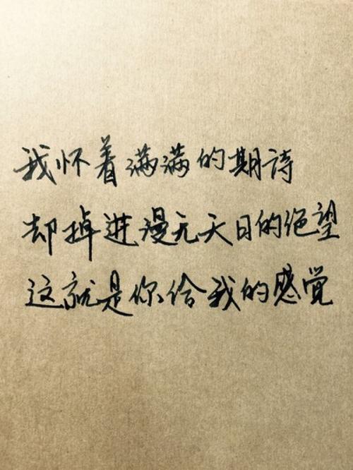 温暖的隐喻
