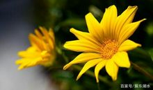 最耐人寻味的句子