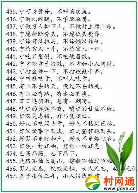 关于光的箴言