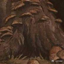 郝在一句话