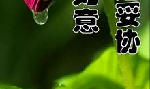 表达幸福美满的句子