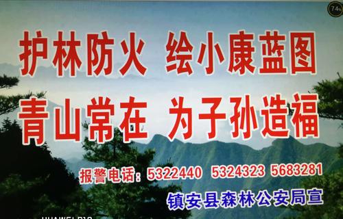 改革口号