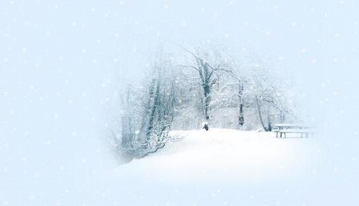 冬雪句