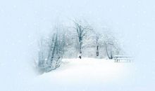 冬天雪句子