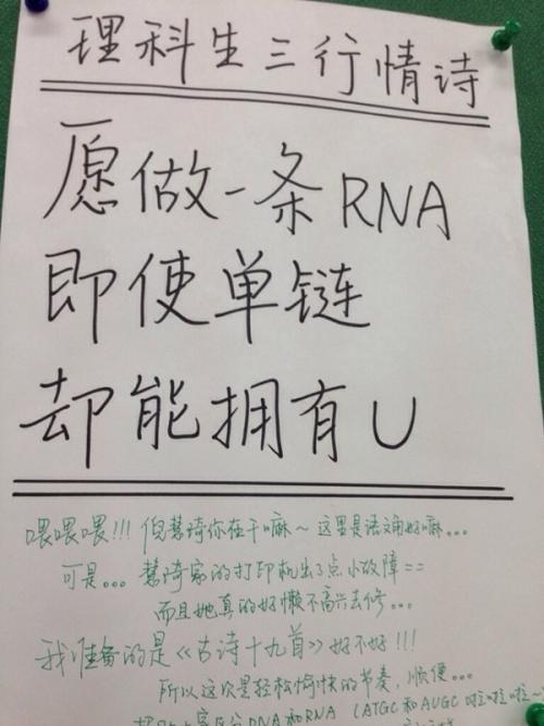 句子中使用什么
