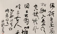 关于描写松的诗句