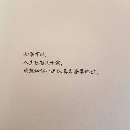 鸡汤句