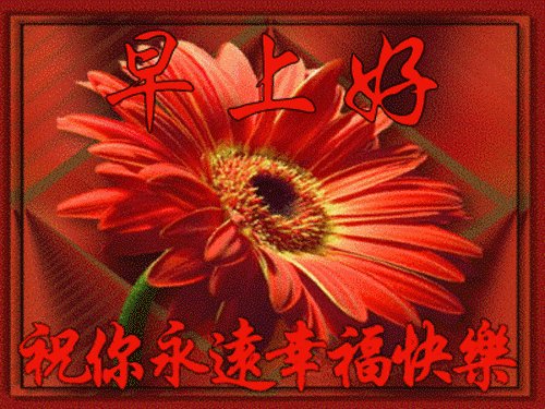 给病人的问候