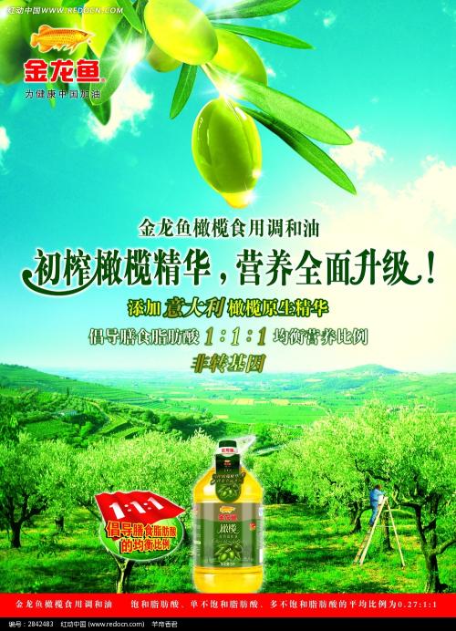 橄榄油的广告语
