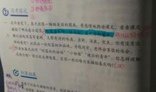 写小动物的比喻句