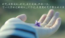 对深爱的人表达的短句