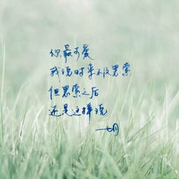 八个字符的句子