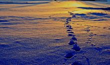 人生也许就是如此,不知前路如何仍要勇敢的向前走