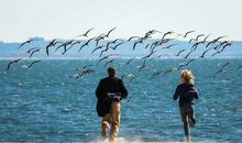 人生前击,悲凉张狂,勇猛精进,山海可平