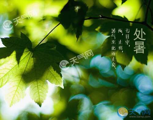 夏季24节气谚语