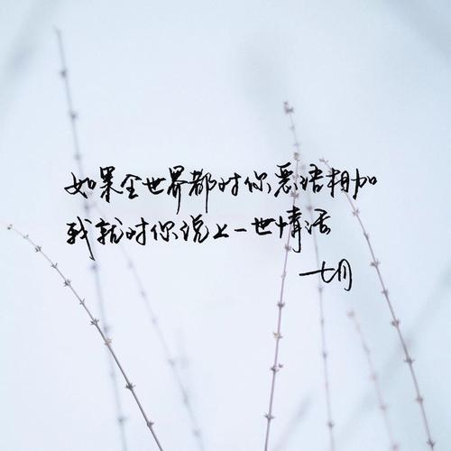 在短文句中