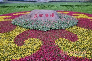 一束花