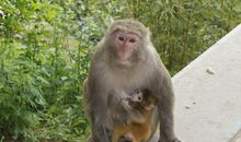 孙猴子跳出水帘洞的歇后语