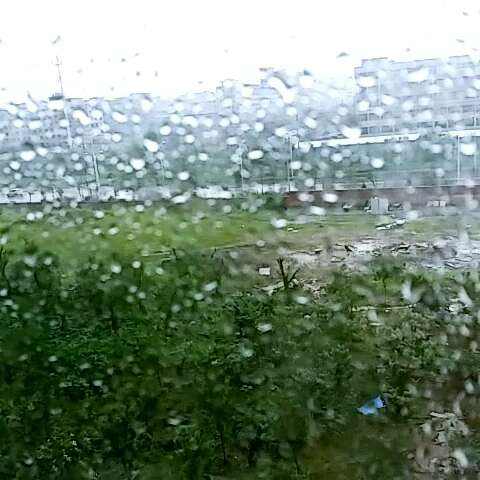 祝福雨