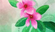 24节气有哪些谚语