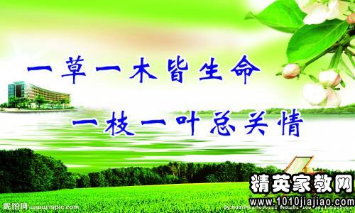 动物环境口号