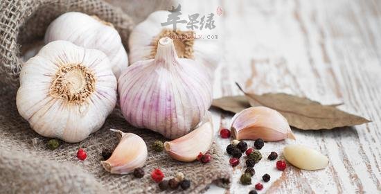 大蒜谚语